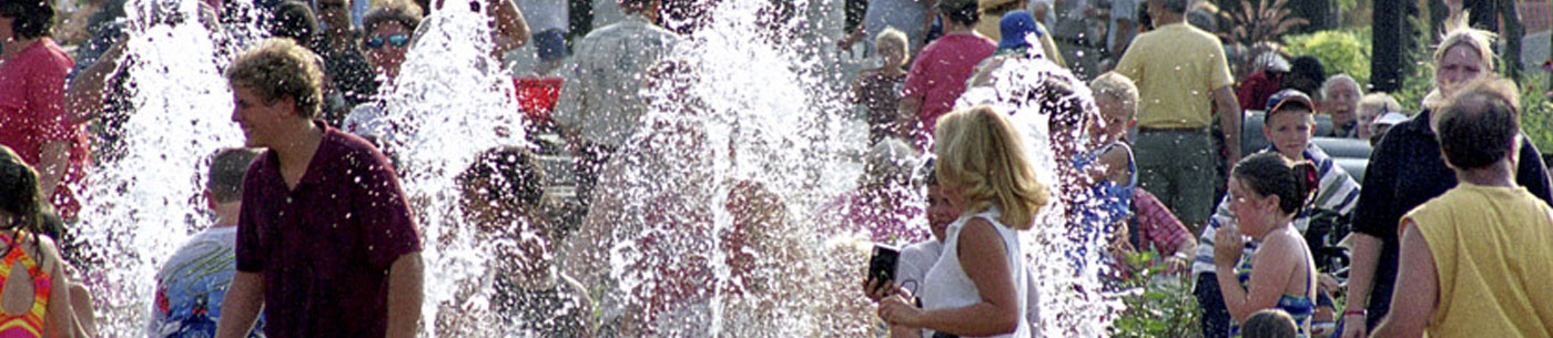 Banner for County and Community Profiles